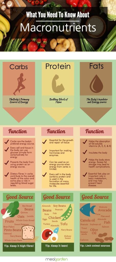 A picture of some different types of exercise.